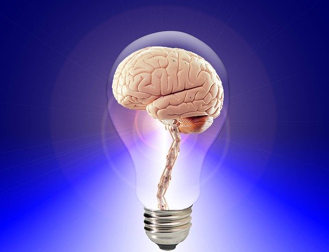 mozek v rozsvícené žárovce